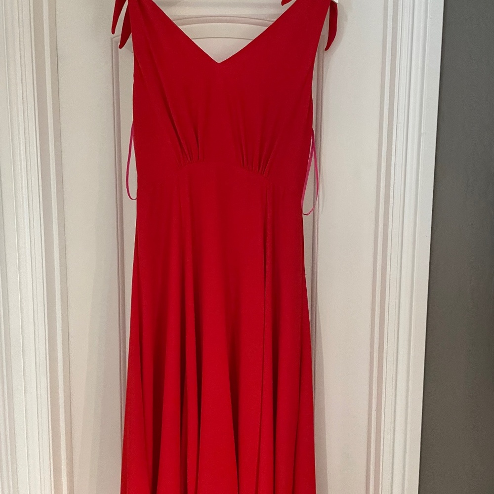 Betsy Johnson mid length dress.